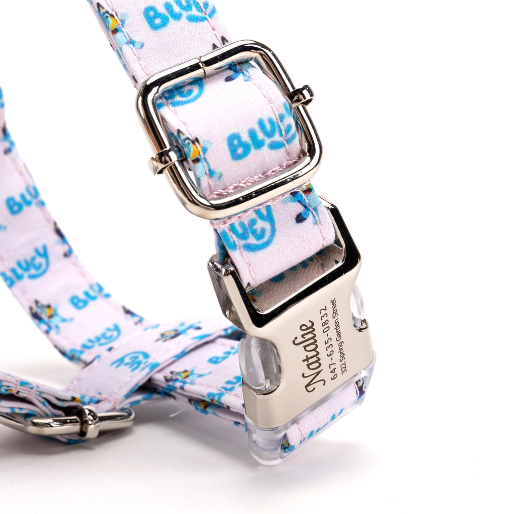 100% Cotton Adjustable No Pull Dog Harness Bluey BUCKLE