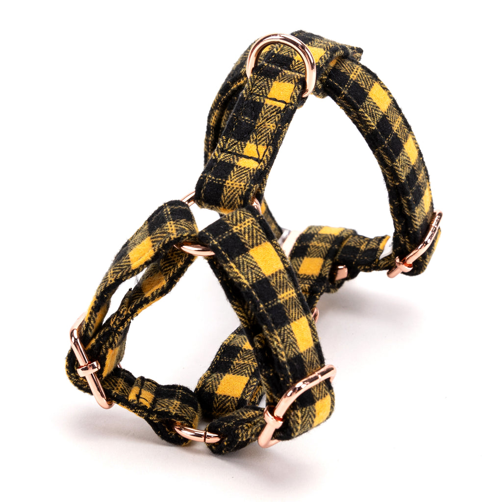 100% Cotton Adjustable No Pull Dog Harness Black Watch Yellow back