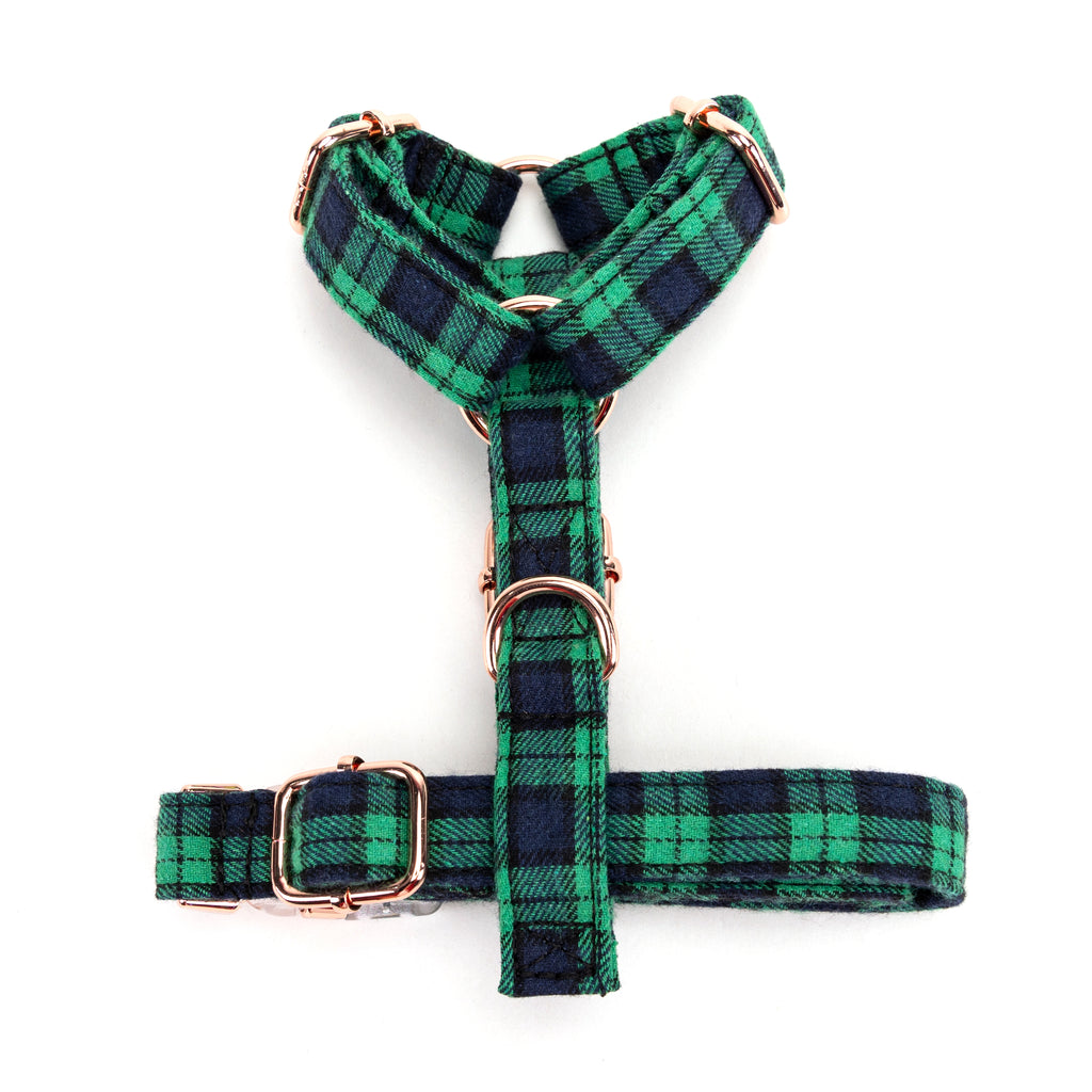 100% Cotton Adjustable No Pull Dog Harness Black Watch Lime bottom