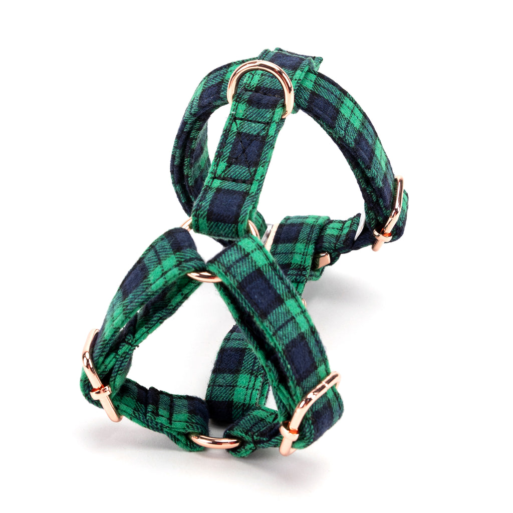 100% Cotton Adjustable No Pull Dog Harness Black Watch Lime back