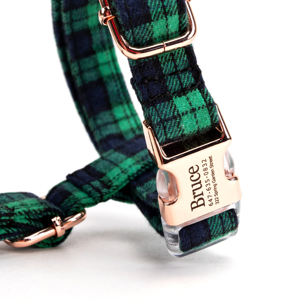 100% Cotton Adjustable No Pull Dog Harness Black Watch Lime buckle