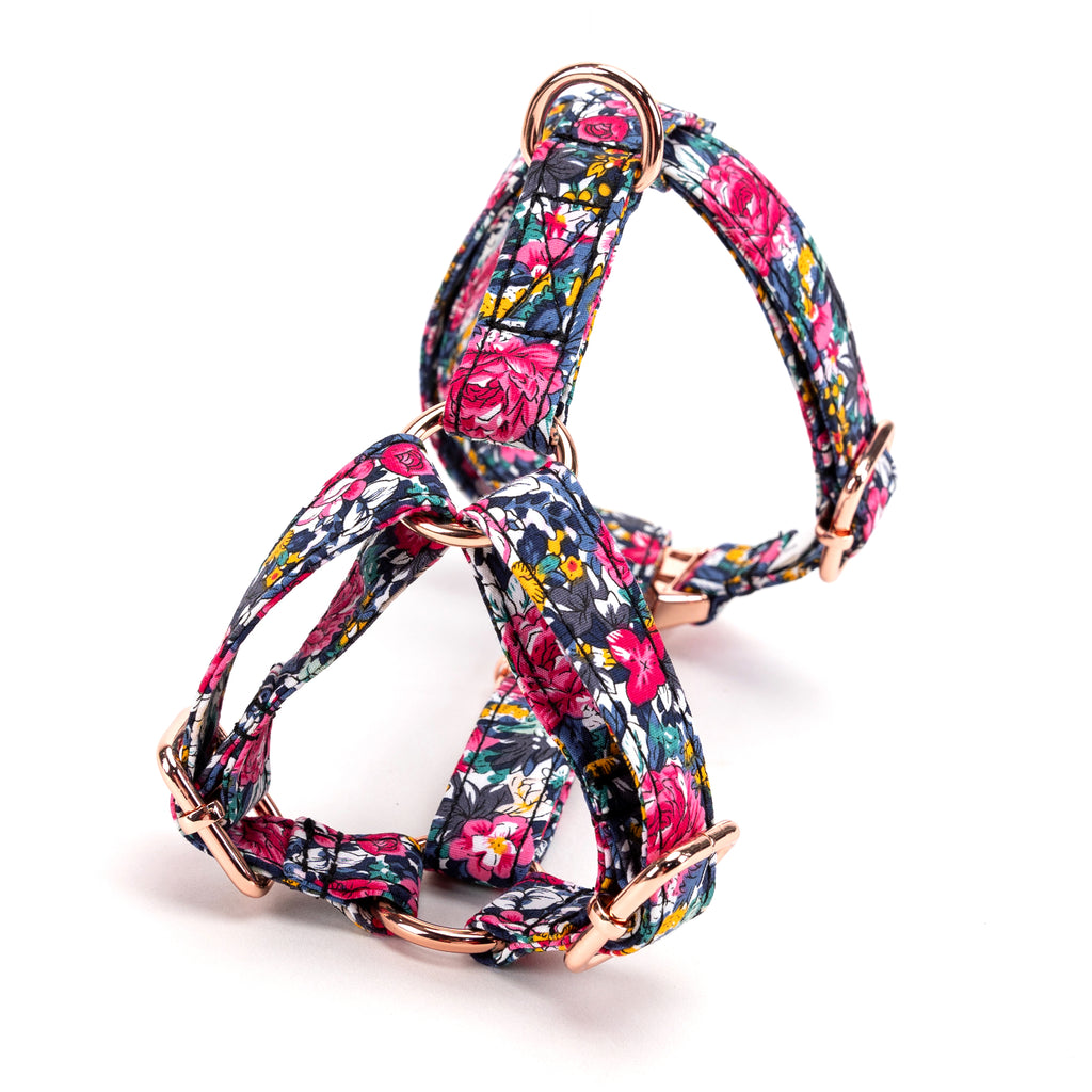 100% Cotton Adjustable No Pull Dog Harness Blossom Blue back