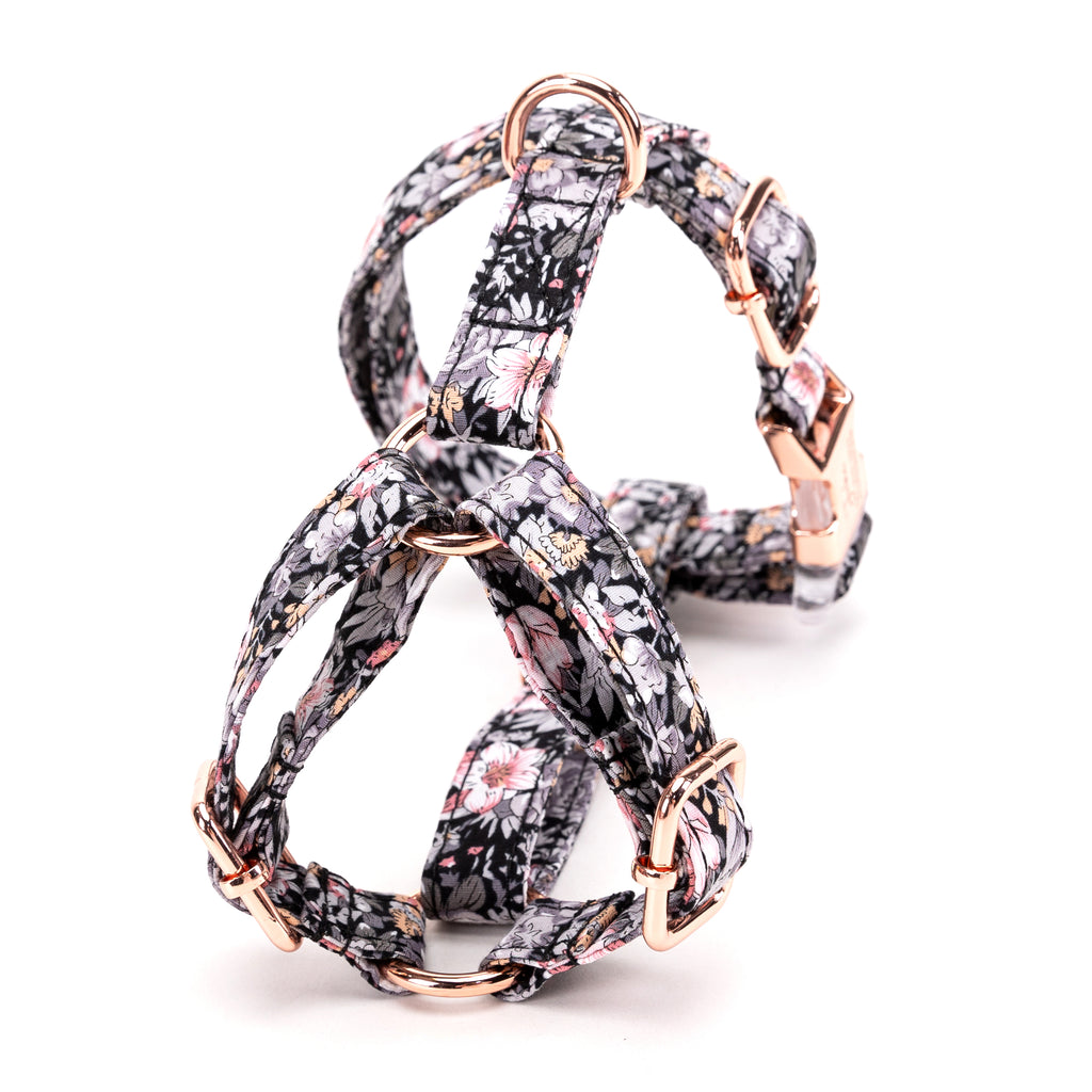 100% Cotton Adjustable No Pull Dog Harness Blossom Grey back