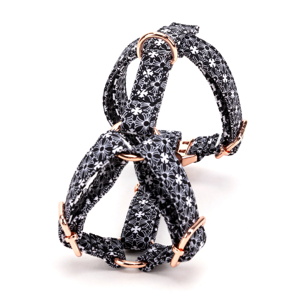 100% Cotton Adjustable No Pull Dog Harness Chrome Hearts Black back