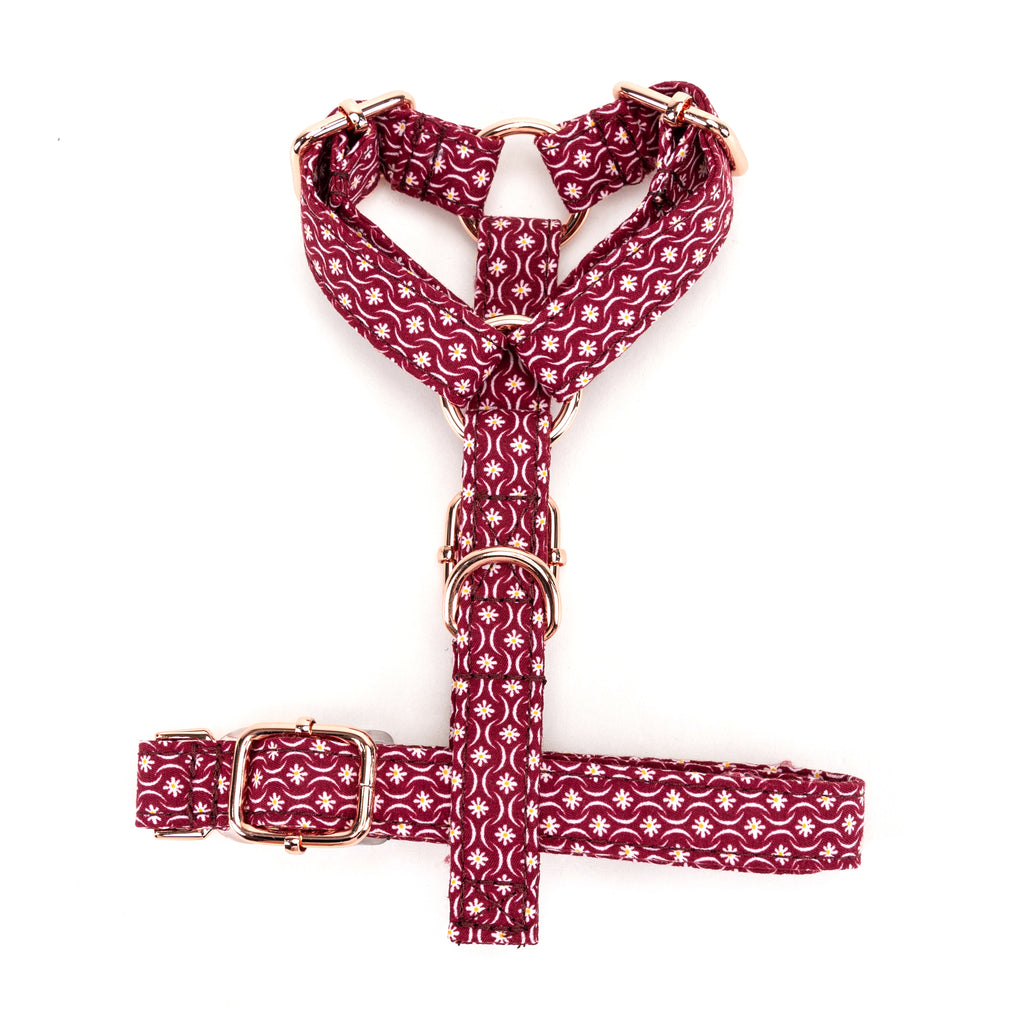 100% Cotton Adjustable No Pull Dog Harness Heritage Red bottom