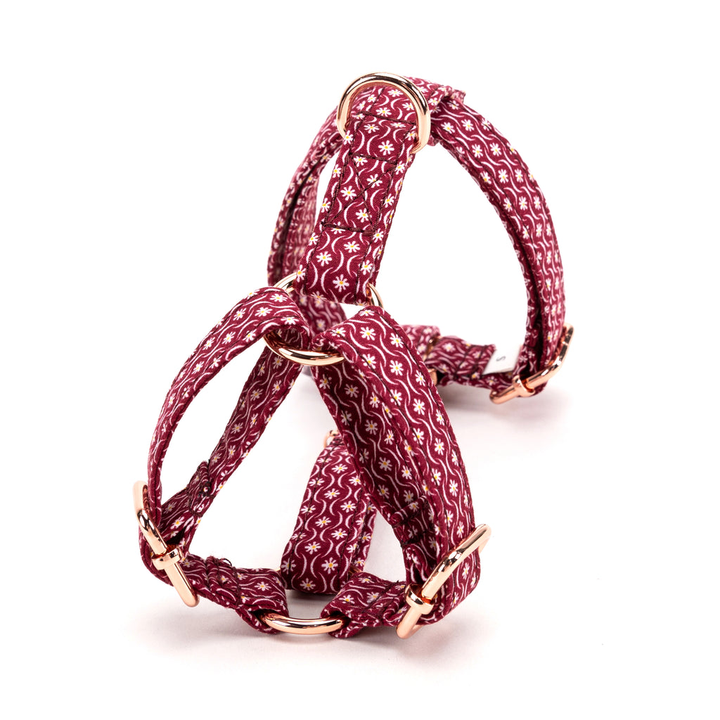 100% Cotton Adjustable No Pull Dog Harness Heritage Red back