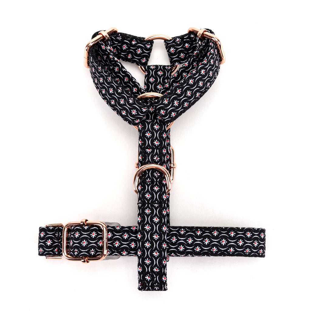 100% Cotton Adjustable No Pull Dog Harness Heritage Black bottom