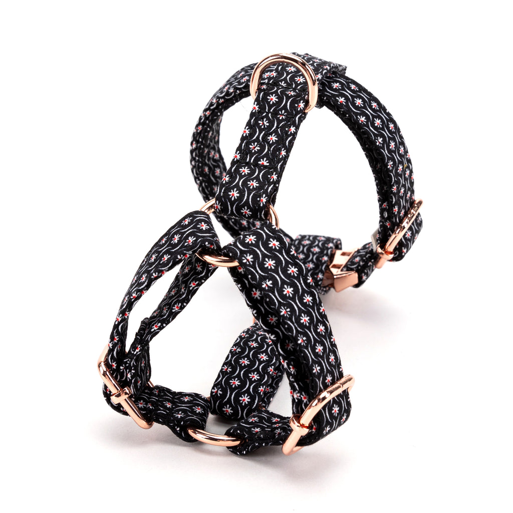 100% Cotton Adjustable No Pull Dog Harness Heritage Black back