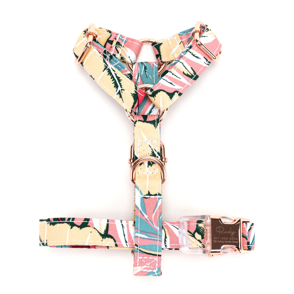 100% Cotton Adjustable No Pull Dog Harness Romantic Rose top