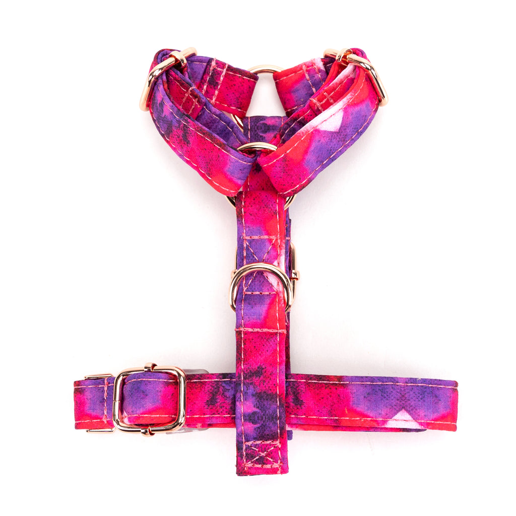 100% Cotton Adjustable No Pull Dog Harness Galaxy bottom