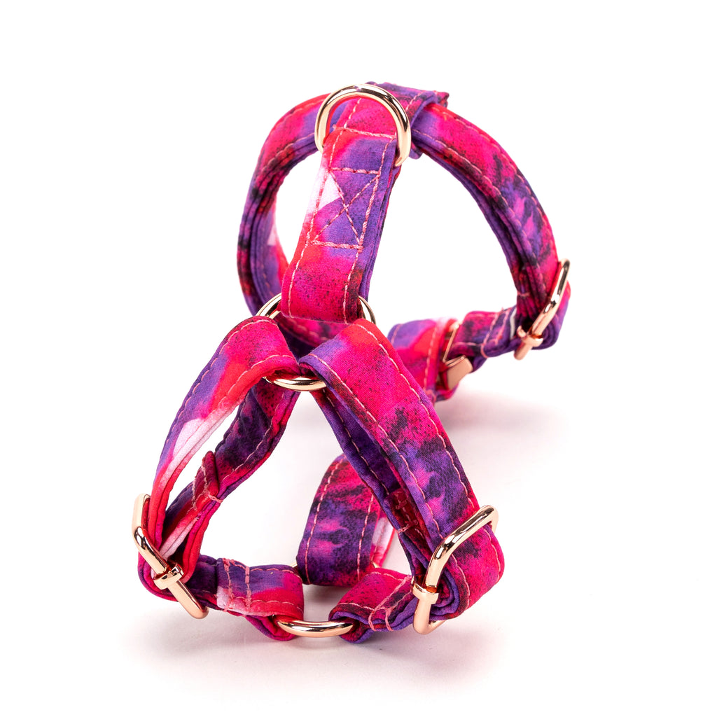 100% Cotton Adjustable No Pull Dog Harness Galaxy back