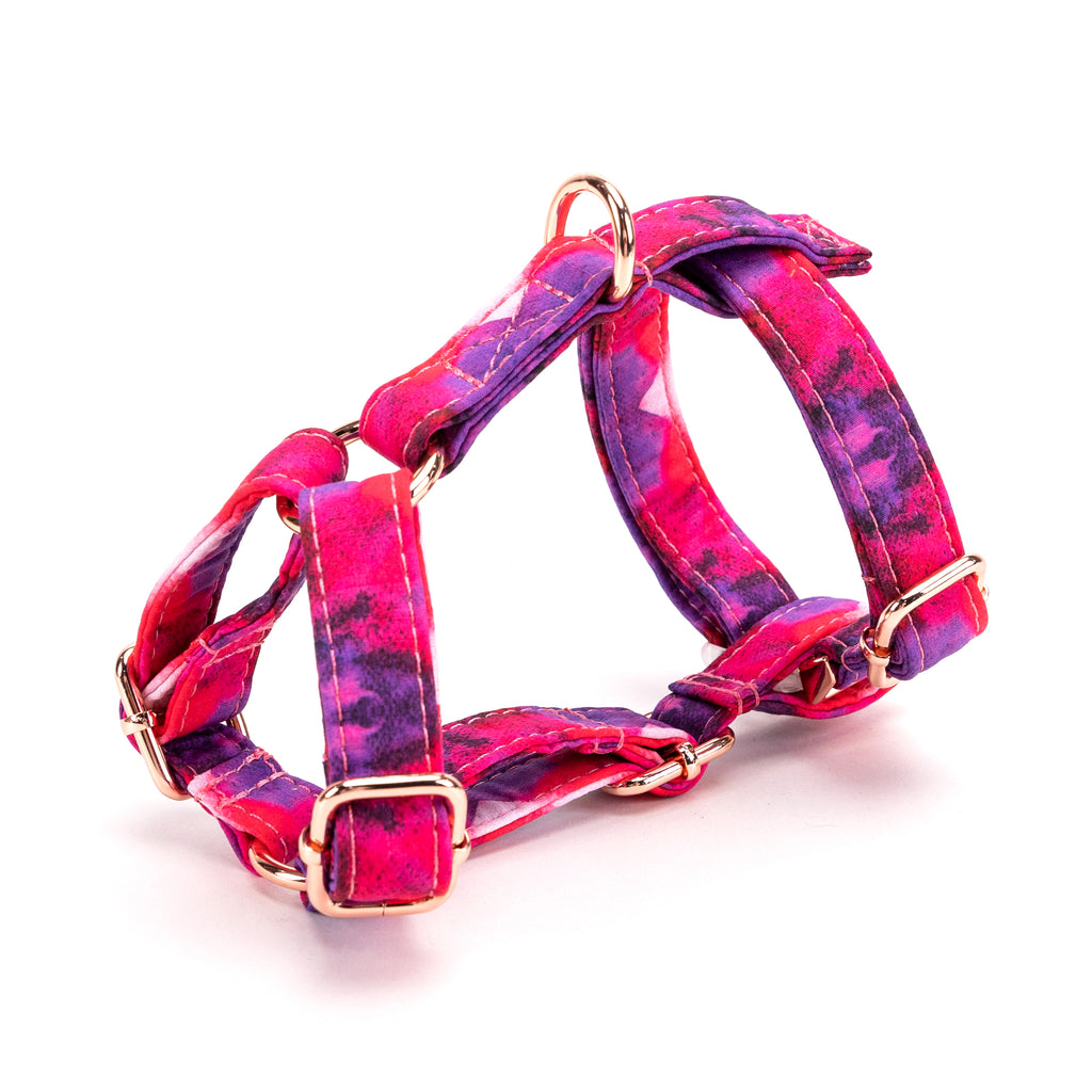 100% Cotton Adjustable No Pull Dog Harness Galaxy side