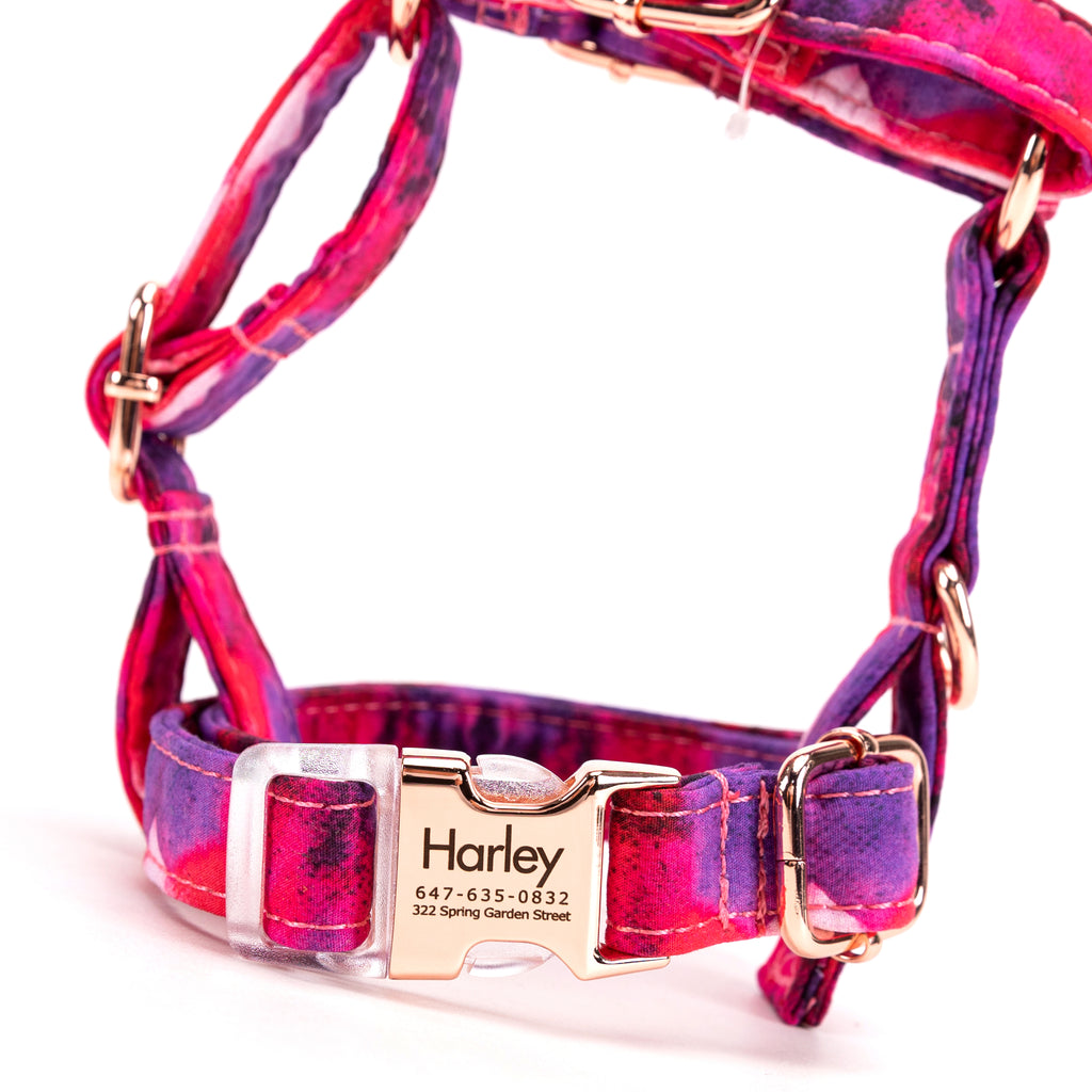 100% Cotton Adjustable No Pull Dog Harness Galaxy front