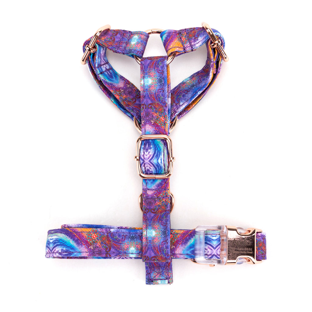 100% Cotton Adjustable No Pull Dog Harness Aurora top