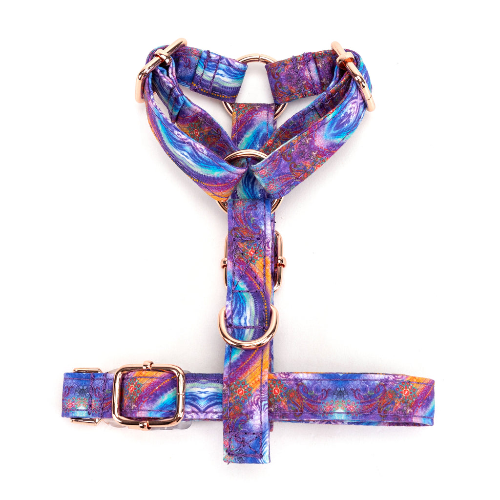 100% Cotton Adjustable No Pull Dog Harness Aurora bottom