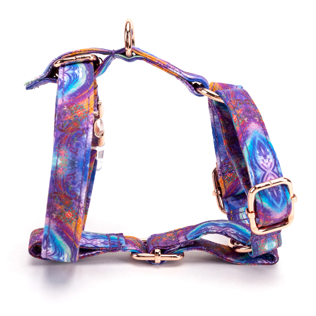 100% Cotton Adjustable No Pull Dog Harness Aurora main