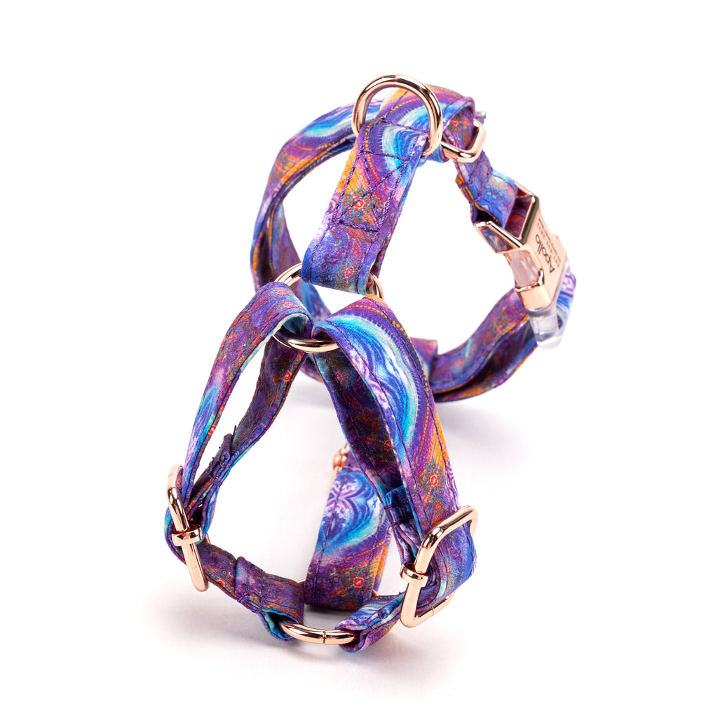 100% Cotton Adjustable No Pull Dog Harness Aurora back