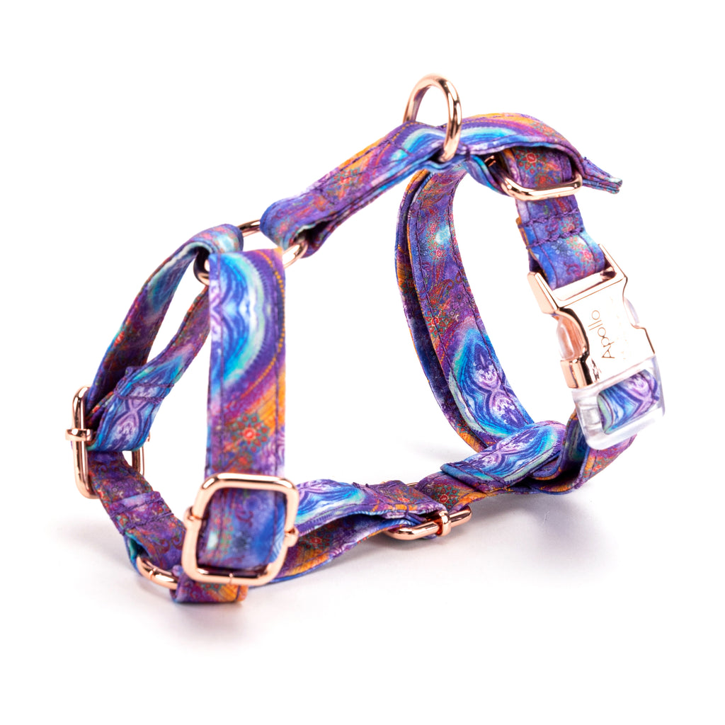 100% Cotton Adjustable No Pull Dog Harness Aurora side