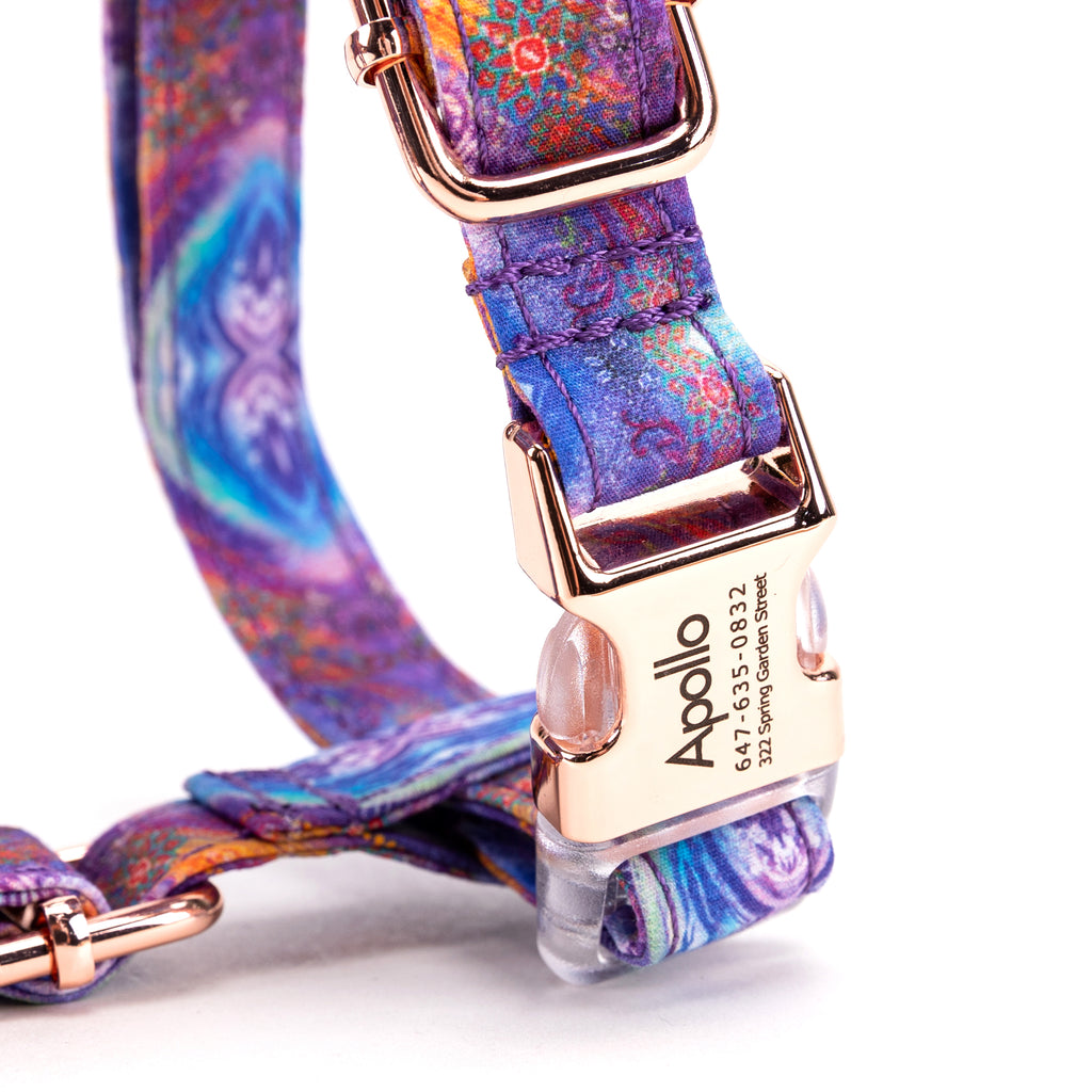 100% Cotton Adjustable No Pull Dog Harness Aurora buckle