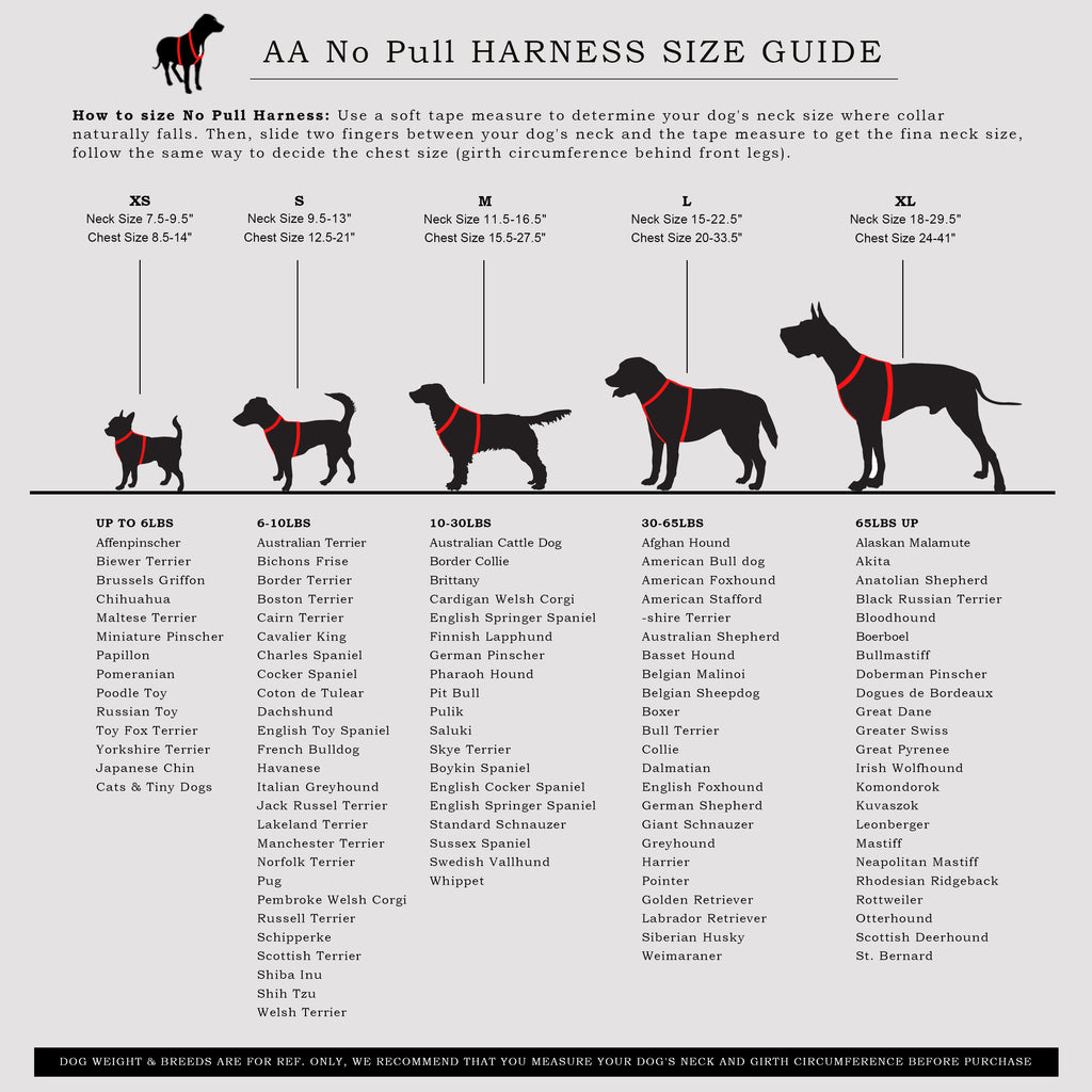 Dog harness size guide with illustrations of dogs and text on a white background