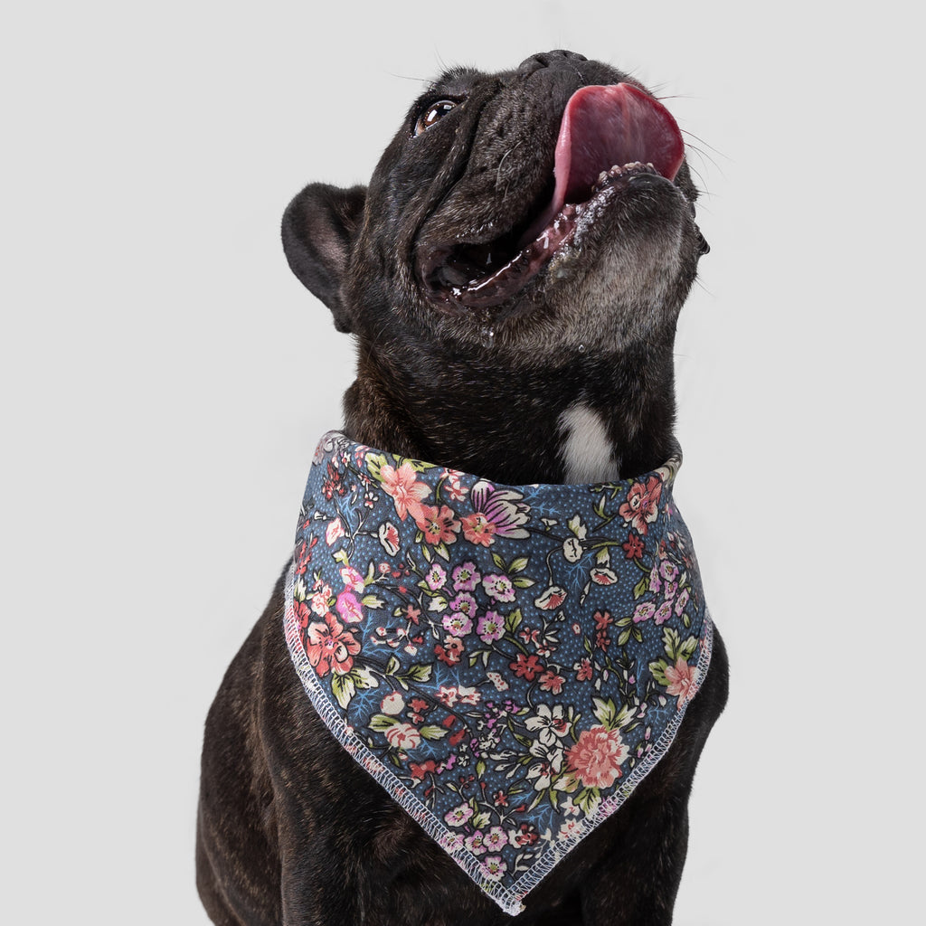 Dog wears Dog Bandana Bouquet front-1