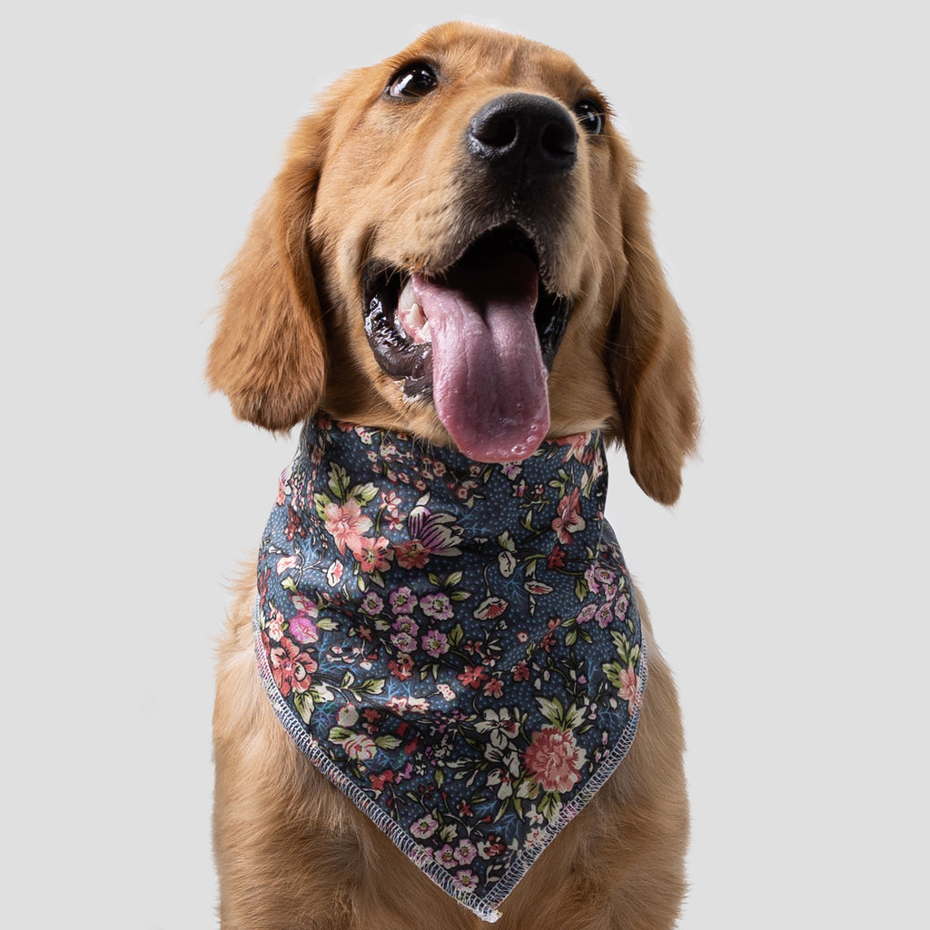 Dog wears Dog Bandana Bouquet front-2