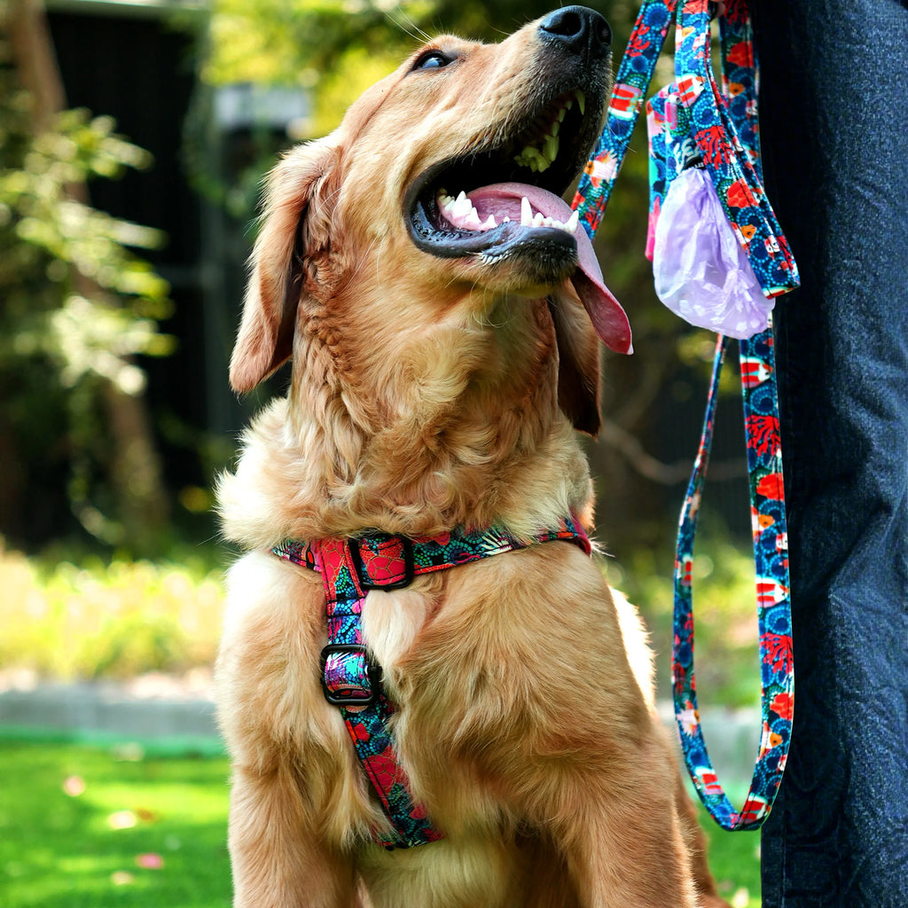 Happy golden retriever dog on a leash and a poop bag with our Seaworld pattern, outdoors.
