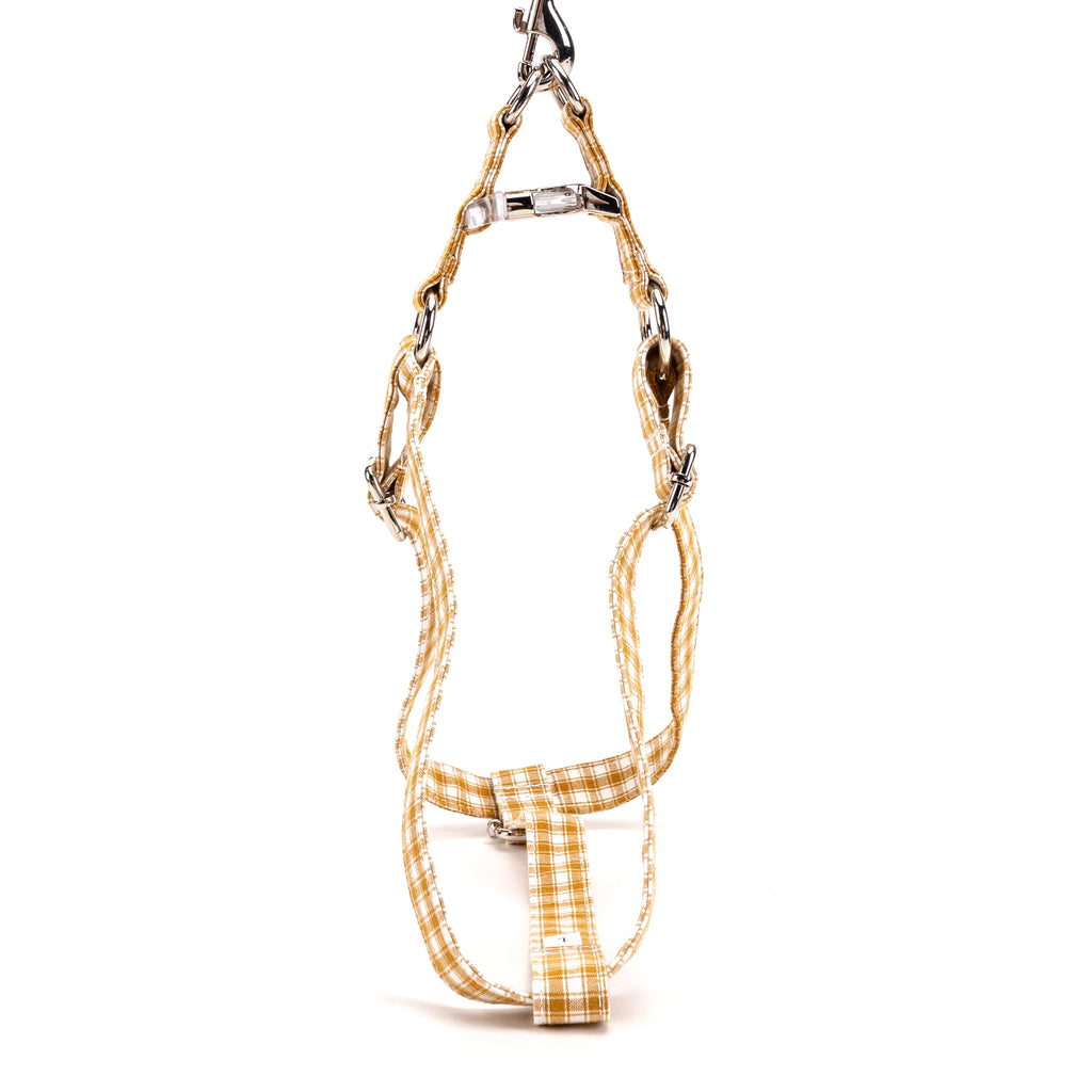 Gingham Yellow Step in Dog Harness Organic Cotton Silver top