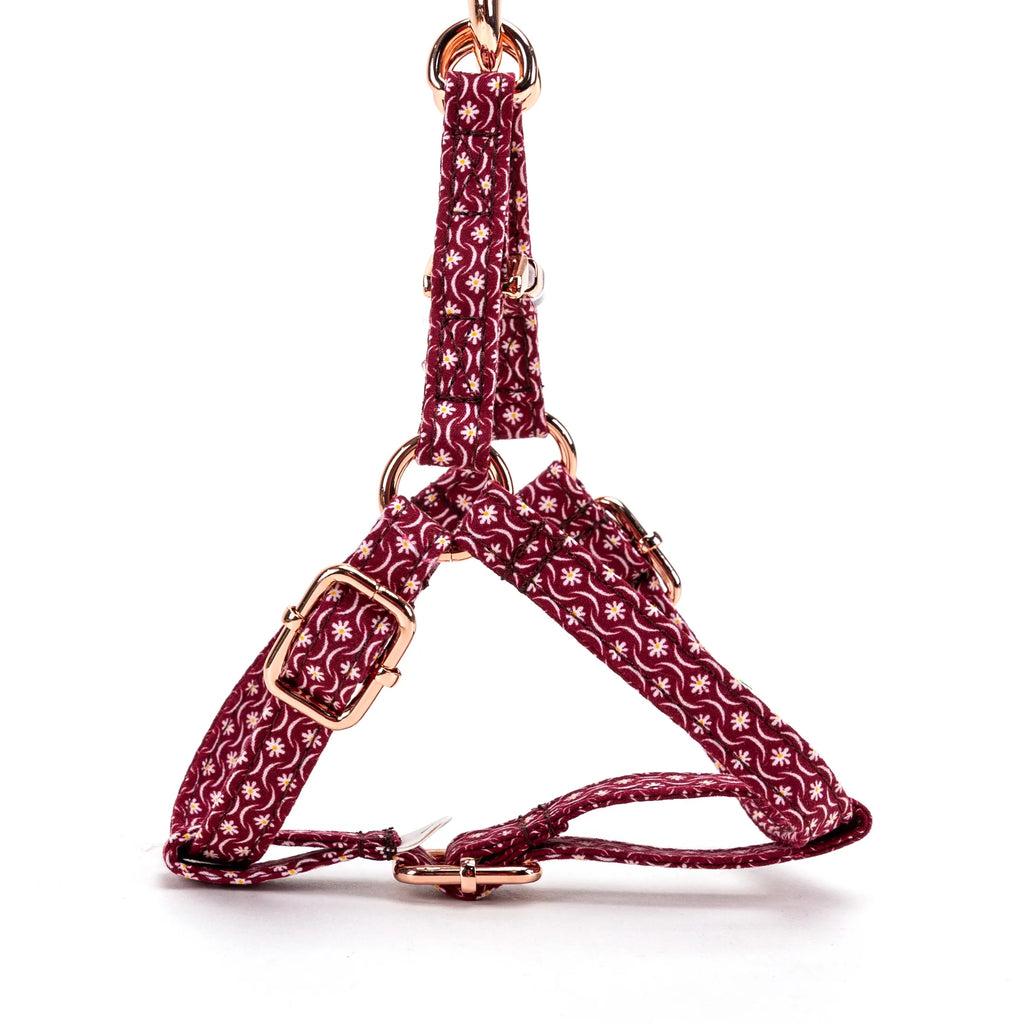 100% Cotton Adjustable Step-In Dog Harness Rose Gold Heritage Red side