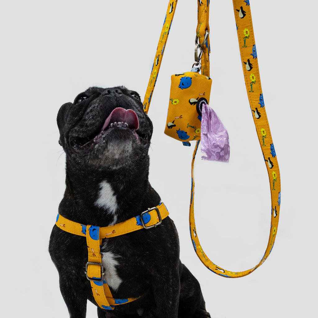 100% Cotton Adjustable Step-In Dog Harness Brass Oswald dog wears the harness with a leash and a pooh bag front view
