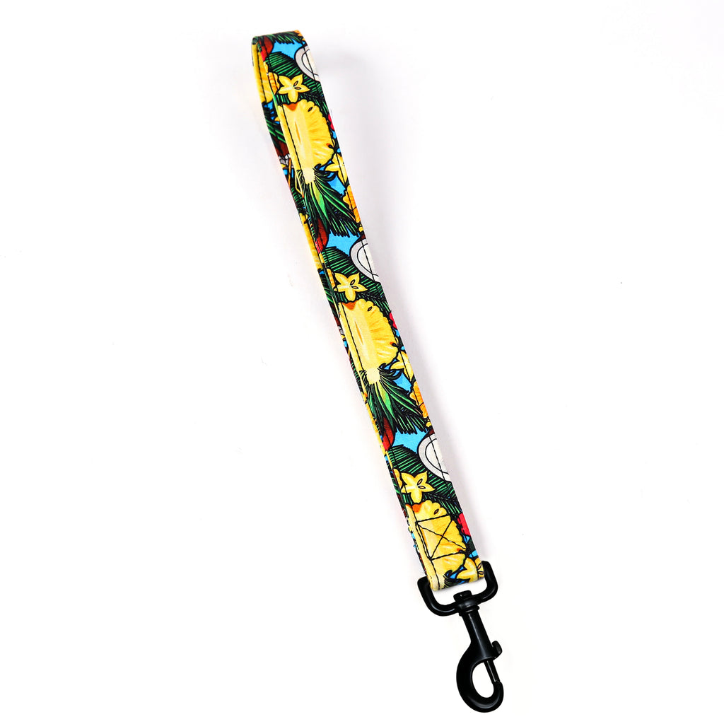 100% Cotton Adjustable Dog Lead Black  Coconuts front