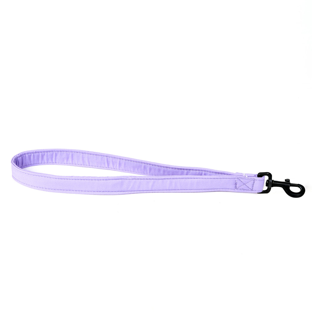 100% Cotton Adjustable Dog Lead Black  Lavender main