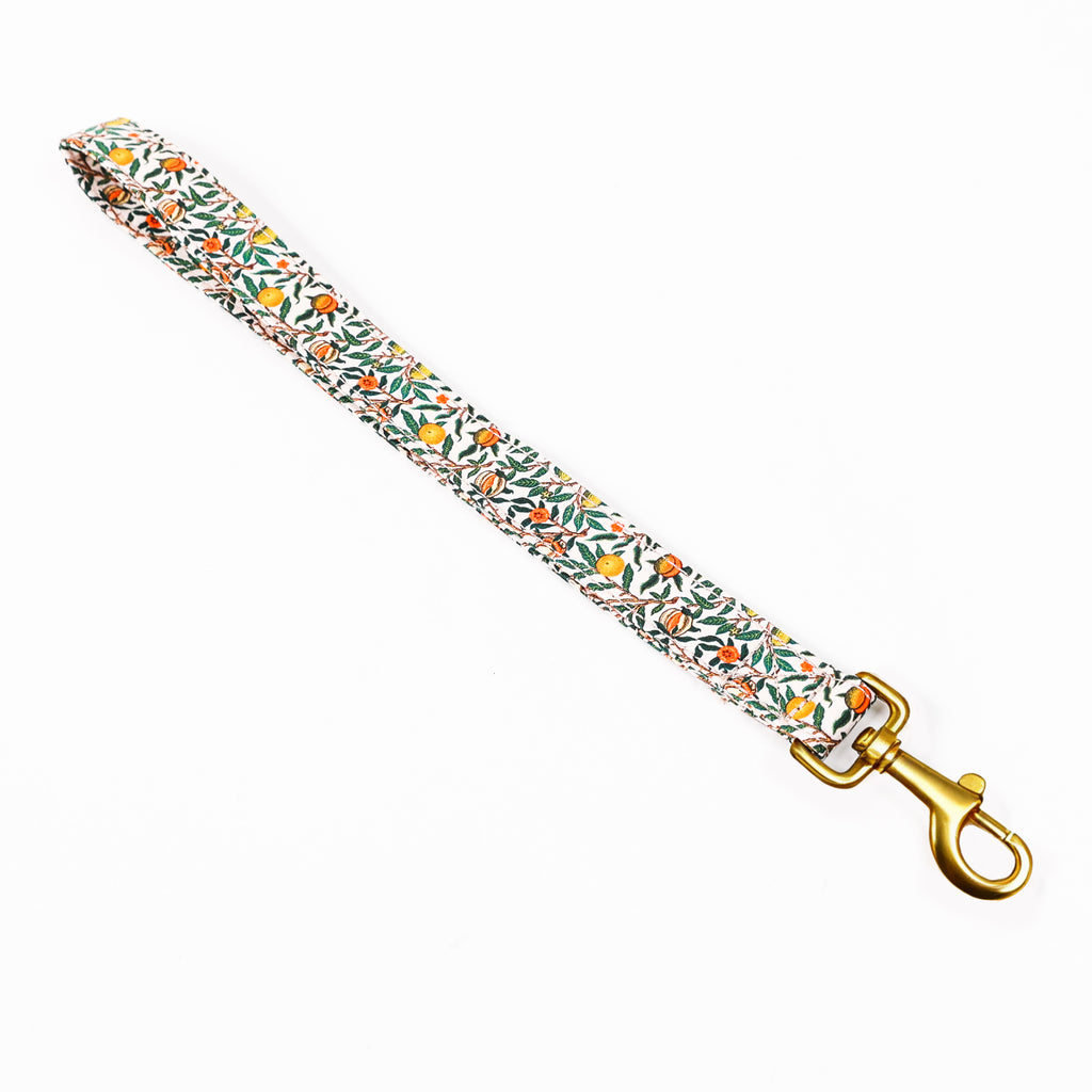 Traffic Leash 100% Cotton Hand Crafted Pet Traffic Lead Pomegranate front