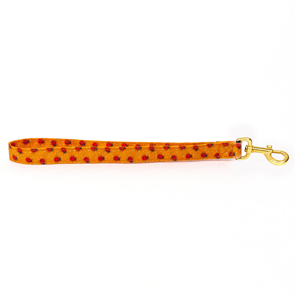 100% Cotton Adjustable Dog Lead Gold  Ladybug main