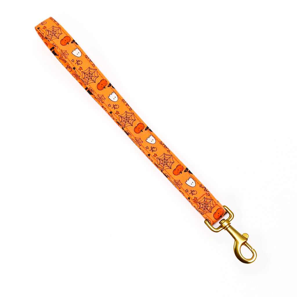 100% Cotton Adjustable Dog Lead Gold  Magic Halloween front