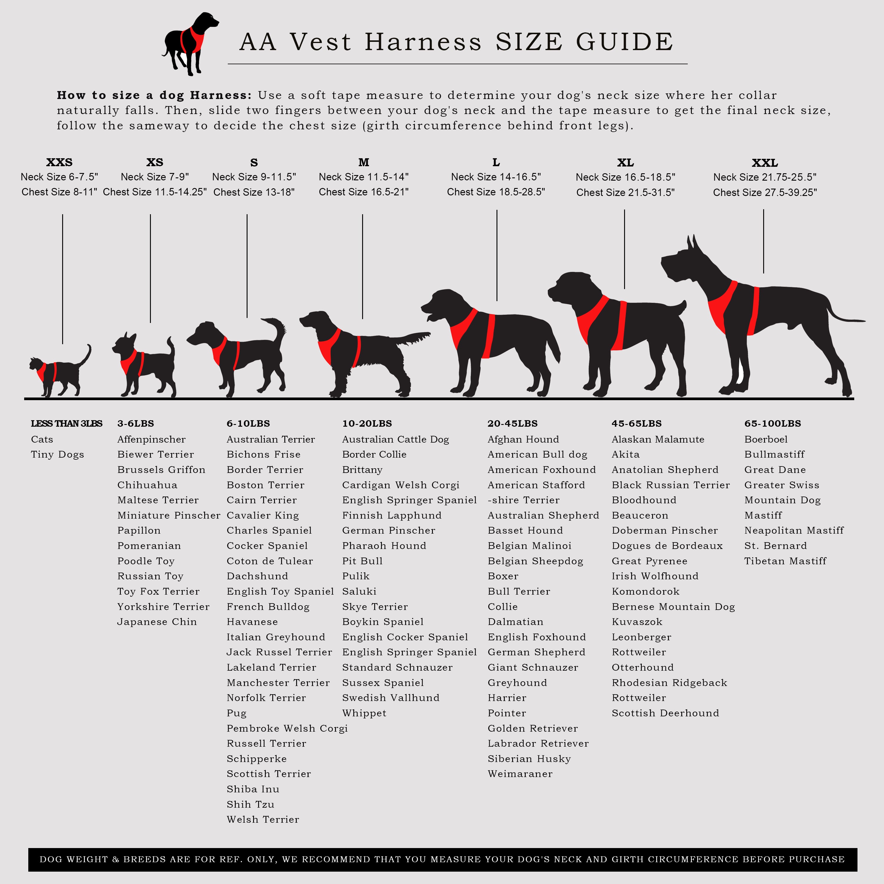 Size Comparison Irish Wolfhound X Great Dane Wolfhound Dog Great